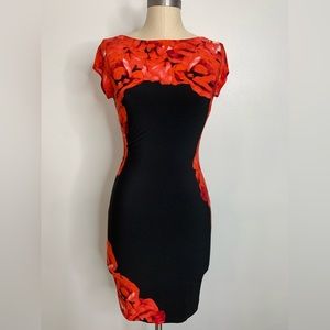 Red/Black dress